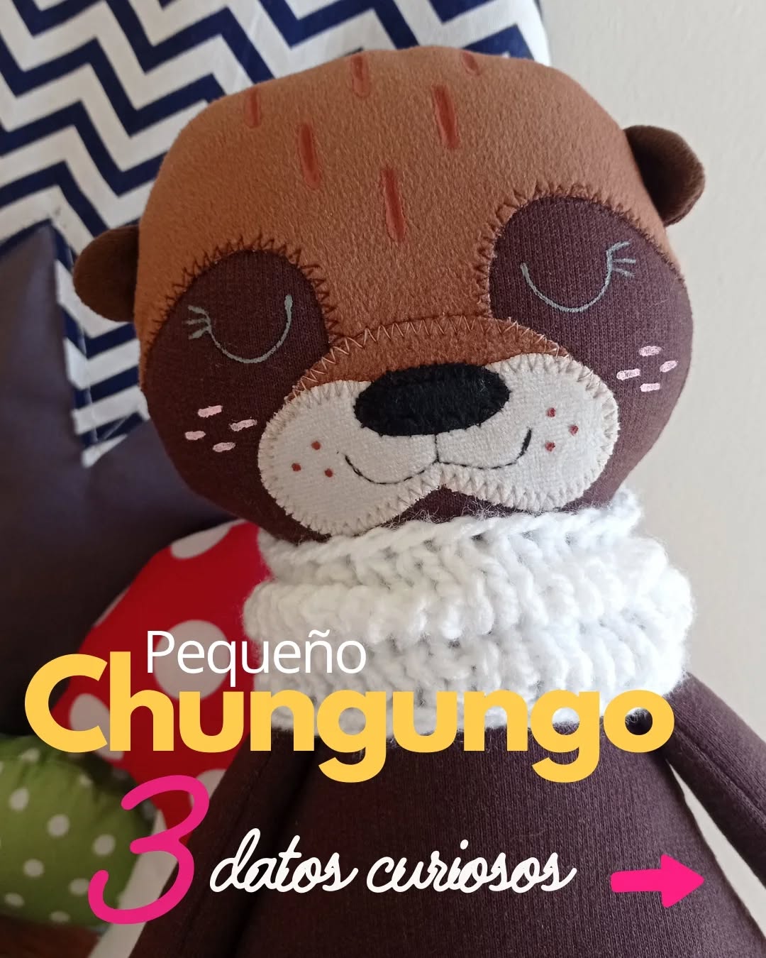 Si hablamos de ternura,  Chungungo gana!