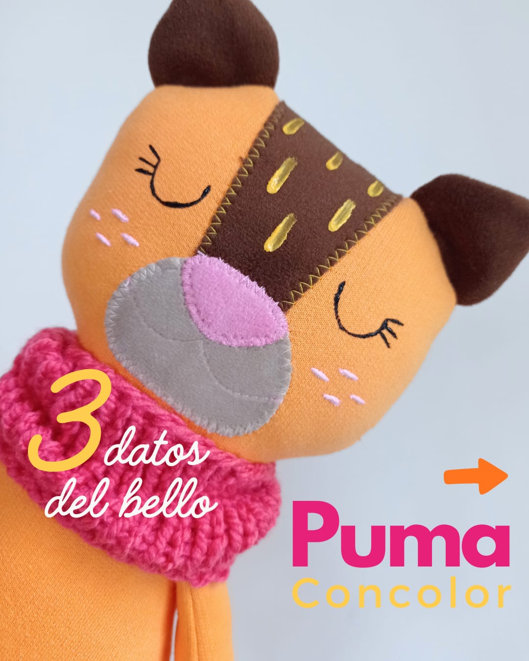 Un Puma Con... color!